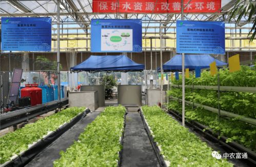 加快工廠化循環水養殖裝備技術創新 助推水產養殖綠色高效發展